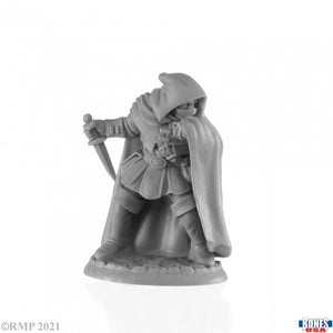 Reaper Miniatures: Legends (1-40)