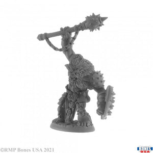Reaper Miniatures: Legends (1-40)