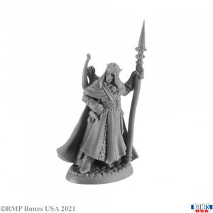 Reaper Miniatures: Legends (1-40)