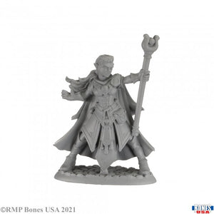 Reaper Miniatures: Legends (1-40)