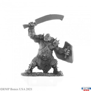 Reaper Miniatures: Legends (1-40)