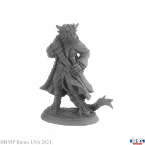 Reaper Miniatures: Legends (1-40)