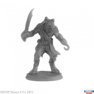 Reaper Miniatures: Legends (1-40)