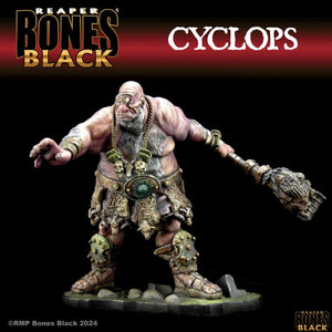 Reaper Miniature Boxed Sets
