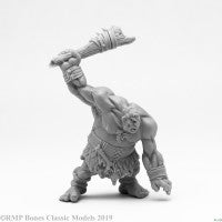 Reaper Miniatures: Bones (441-480)