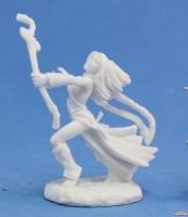 Reaper: Pathfinder Miniatures (1-54)