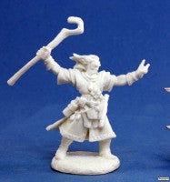 Reaper: Pathfinder Miniatures (1-54)